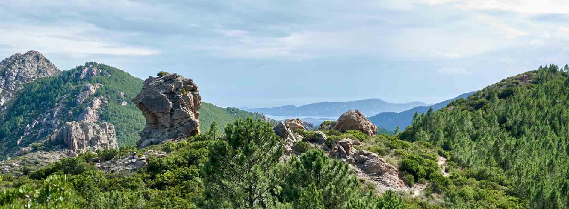 Corse-du-sud